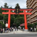 実際訪問したユーザーが直接撮影して投稿した八幡神社大崎八幡宮の写真