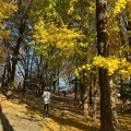 実際訪問したユーザーが直接撮影して投稿した本町西公園与野公園の写真