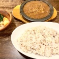 牛すじチーズカレー3品 - 実際訪問したユーザーが直接撮影して投稿した西新宿カレーHot spoon 西新宿店の写真のメニュー情報