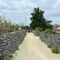 実際訪問したユーザーが直接撮影して投稿した竹富地域名所竹富島の集落の写真