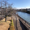 実際訪問したユーザーが直接撮影して投稿した中葛西散策路新川遊歩道の写真