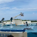 実際訪問したユーザーが直接撮影して投稿した石川水族館 / アクアリウムオキちゃん劇場の写真