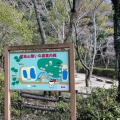 実際訪問したユーザーが直接撮影して投稿した祇園町公園武田山憩の森の写真