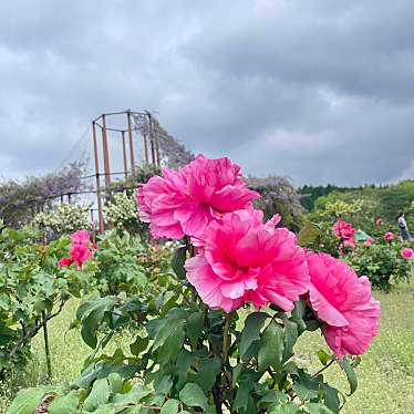 実際訪問したユーザーが直接撮影して投稿した藤原町鼎公園いなべ市農業公園の写真