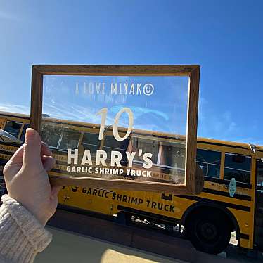 実際訪問したユーザーが直接撮影して投稿した平良ハワイ料理Harrys Shrimp Truckの写真