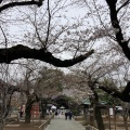 実際訪問したユーザーが直接撮影して投稿した中目黒寺祐天寺の写真