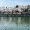 実際訪問したユーザーが直接撮影して投稿した御山町公園悠久山公園の写真