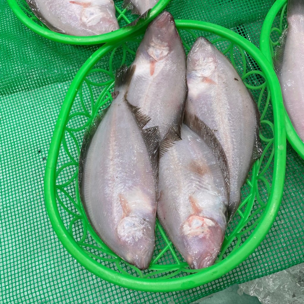 ユーザーが投稿したカレイの写真 - 実際訪問したユーザーが直接撮影して投稿した上近江町魚介 / 海鮮料理大口水産株式会社の写真