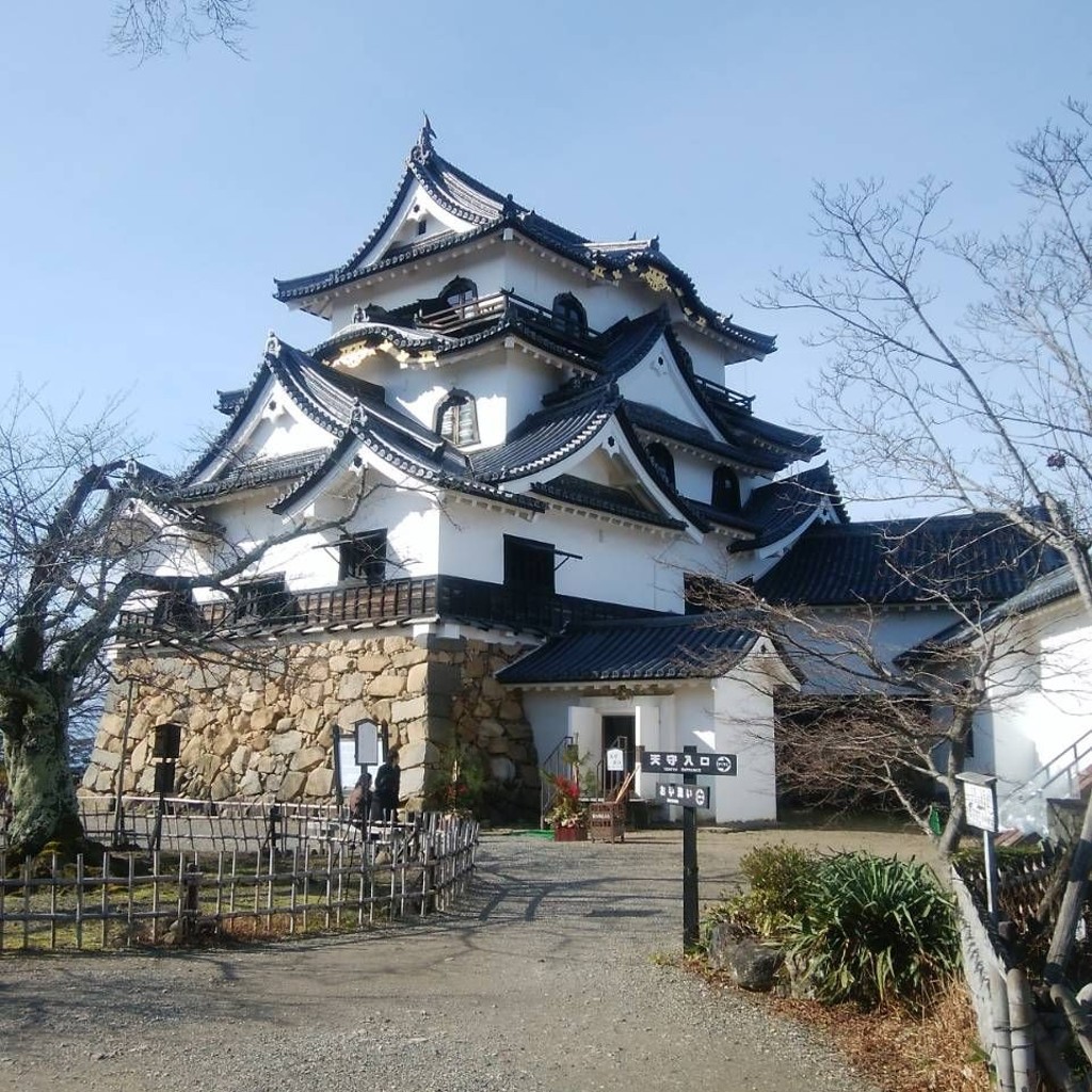 ありがとーまたどこかでさんが投稿した金亀町城 / 城跡のお店彦根城/ヒコネジョウの写真