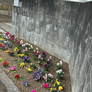 実際訪問したユーザーが直接撮影して投稿した寺山町公園長坂谷公園の写真