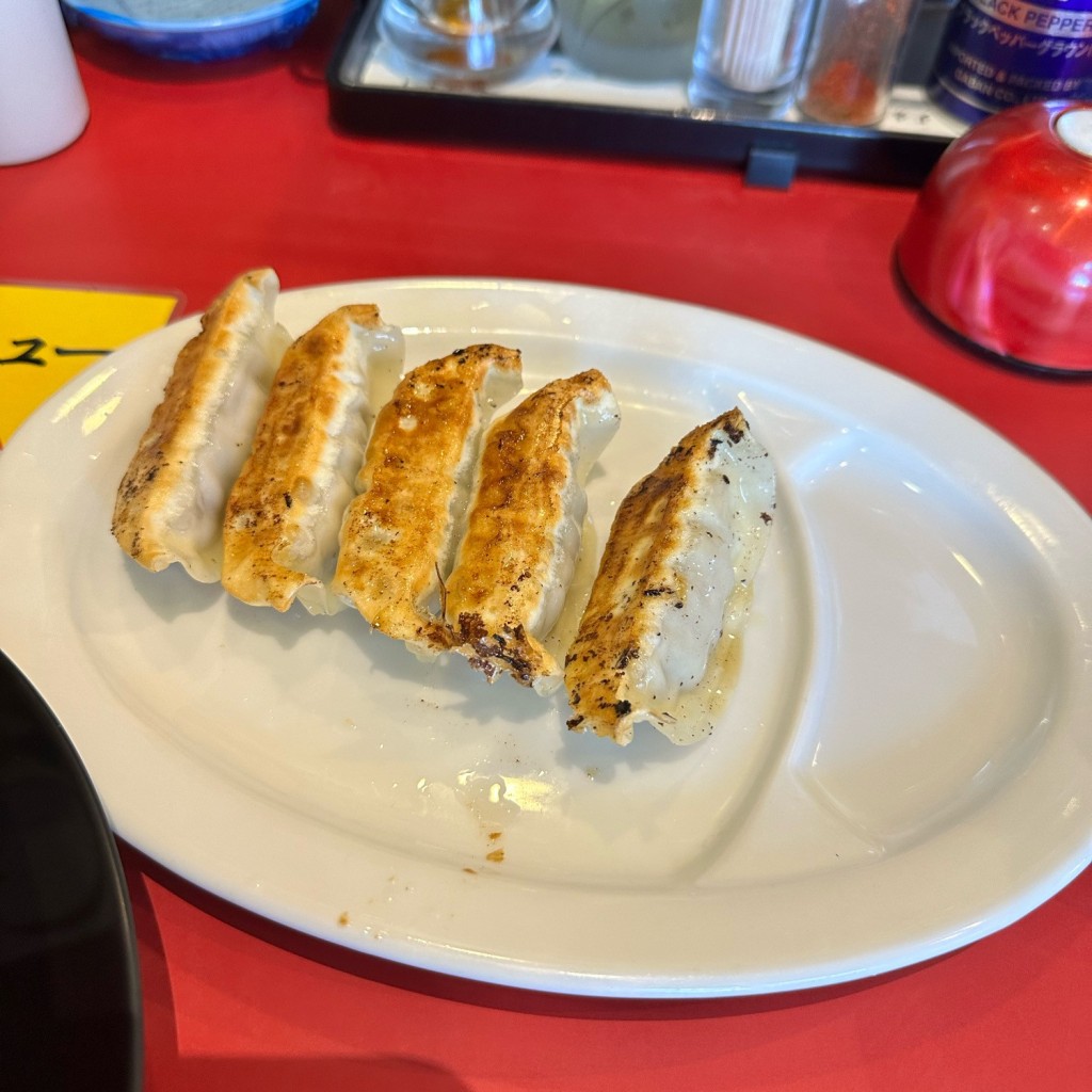ユーザーが投稿した餃子の写真 - 実際訪問したユーザーが直接撮影して投稿した東小屋ラーメン / つけ麺マルキ屋 東那須店の写真