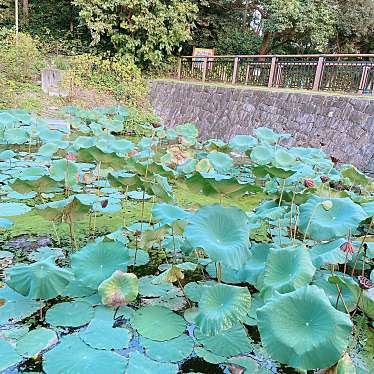 OnonNozomiさんが投稿した赤松町公園のお店安城産業文化公園デンパーク/アンジョウサンギョウブンカコウエンデンパークの写真