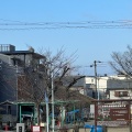 実際訪問したユーザーが直接撮影して投稿した茶屋町公園耳塚公園の写真