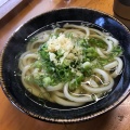 かけ - 実際訪問したユーザーが直接撮影して投稿した豊浜町箕浦うどん元祖 鳥越製麺所の写真のメニュー情報