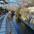 実際訪問したユーザーが直接撮影して投稿した鹿ケ谷法然院町カフェGREEN TERRACEの写真