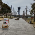 実際訪問したユーザーが直接撮影して投稿した海津町油島展望台 / 展望施設木曽三川公園展望タワーの写真