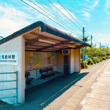実際訪問したユーザーが直接撮影して投稿した見能林町駅（代表）見能林駅 (JR牟岐線)の写真