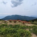 実際訪問したユーザーが直接撮影して投稿した櫛羅山 / 峠葛城山の写真