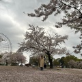 実際訪問したユーザーが直接撮影して投稿した千里万博公園イベントスペースお祭り広場の写真