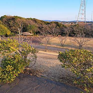 実際訪問したユーザーが直接撮影して投稿した新富公園市民ふれあい公園の写真