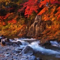 実際訪問したユーザーが直接撮影して投稿した南中野山 / 峠中野もみじ山の写真