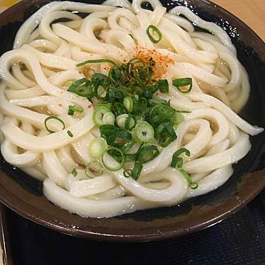 実際訪問したユーザーが直接撮影して投稿した飯野町東二うどんうどん おかだの写真