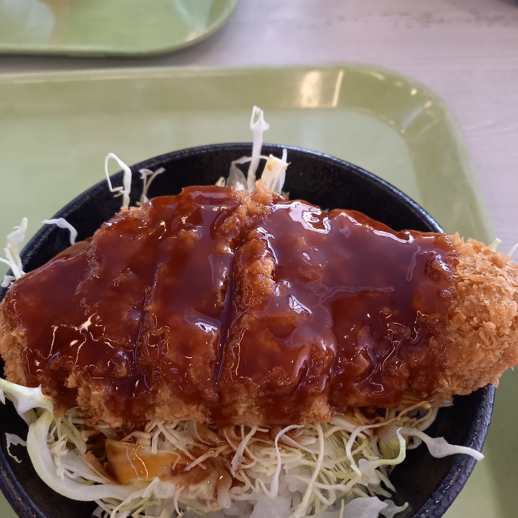 ユーザーが投稿した会津ソースかつ丼の写真 - 実際訪問したユーザーが直接撮影して投稿した桧原定食屋カフェテリアの写真