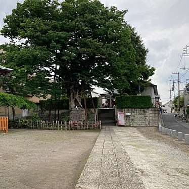 実際訪問したユーザーが直接撮影して投稿した練馬文化財練馬白山神社の大ケヤキの写真