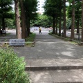 実際訪問したユーザーが直接撮影して投稿した東池袋公園東池袋中央公園の写真