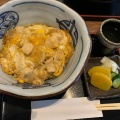 親子丼 - 実際訪問したユーザーが直接撮影して投稿した升形うどん本家湖月の写真のメニュー情報