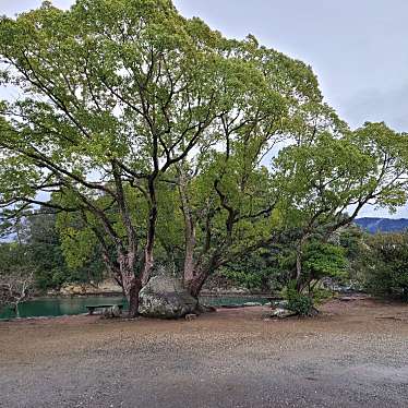 実際訪問したユーザーが直接撮影して投稿した船尾庭園琴ノ浦温山荘園の写真