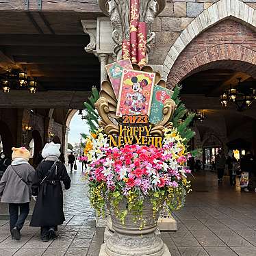 東京ディズニーシーのundefinedに実際訪問訪問したユーザーunknownさんが新しく投稿した新着口コミの写真