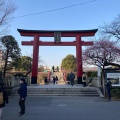 実際訪問したユーザーが直接撮影して投稿した亀戸地域名所亀戸天神社 鳥居の写真