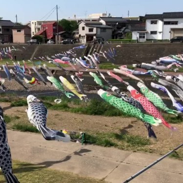 実際訪問したユーザーが直接撮影して投稿した新町公園加茂川河川敷緑地の写真