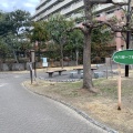 実際訪問したユーザーが直接撮影して投稿した仲六郷公園仲六郷一丁目児童公園の写真