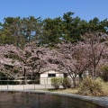 実際訪問したユーザーが直接撮影して投稿した一番堀通町公園白山公園の写真