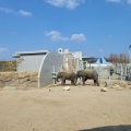実際訪問したユーザーが直接撮影して投稿した大岩町動物園豊橋総合動植物公園の写真