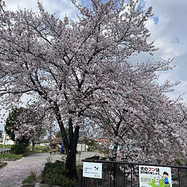 実際訪問したユーザーが直接撮影して投稿した妻沼中央公園妻沼中央公園の写真