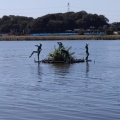 実際訪問したユーザーが直接撮影して投稿した湖沼 / 池手賀沼の写真