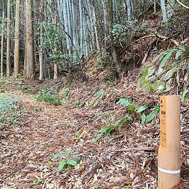 実際訪問したユーザーが直接撮影して投稿した山 / 峠熊野古道・風伝峠の写真