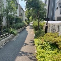 実際訪問したユーザーが直接撮影して投稿した高円寺南散策路桃園川緑道の写真