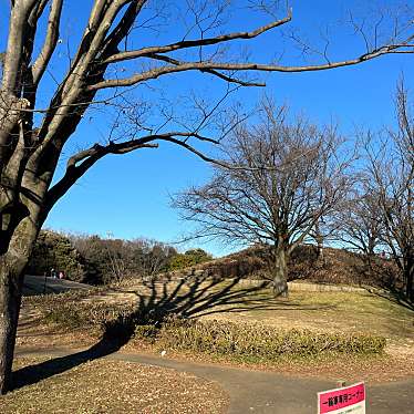 小金井公園富士見の丘のundefinedに実際訪問訪問したユーザーunknownさんが新しく投稿した新着口コミの写真