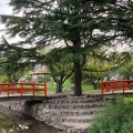 実際訪問したユーザーが直接撮影して投稿した浅江公園西河原緑地の写真