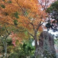 実際訪問したユーザーが直接撮影して投稿した岩屋町公園岩屋堂公園の写真