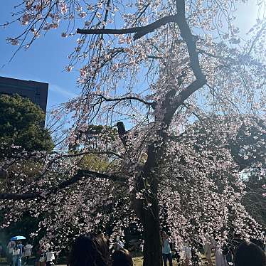 小石川後楽園のundefinedに実際訪問訪問したユーザーunknownさんが新しく投稿した新着口コミの写真