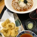 はも天ぷらとかけうどん - 実際訪問したユーザーが直接撮影して投稿した本町西京料理京雀の写真のメニュー情報