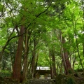 実際訪問したユーザーが直接撮影して投稿した百済寺町寺百済寺の写真