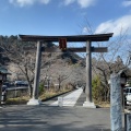 実際訪問したユーザーが直接撮影して投稿した新堀神社高麗神社の写真