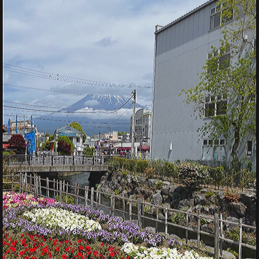 menyannyanさんが投稿した宮町博物館のお店静岡県富士山世界遺産センター/シズオカケンフジサンセカイイサンセンターの写真