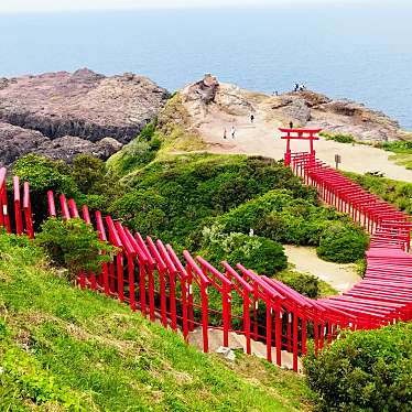 実際訪問したユーザーが直接撮影して投稿した油谷津黄海岸 / 岬龍宮の潮吹の写真